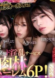 BIBIVR-137