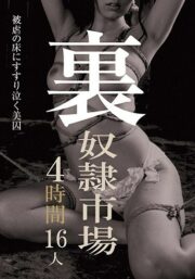 DOA-013