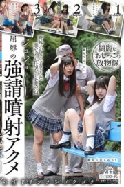 DRPT-040