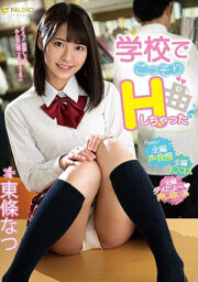 FSDSS-034