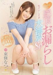 FSDSS-093