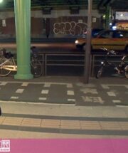 GANA-2348