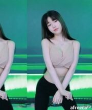 KBJ-23061730