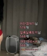 KBJ-23062633