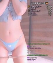 KBJ-23070434