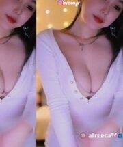 KBJ-23070639