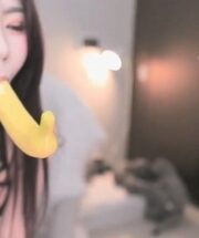 KBJ-23070846