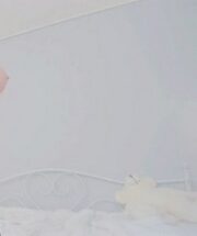 KBJ-23072165