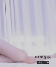 KBJ-23101206