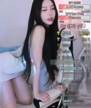 KBJ-23110429