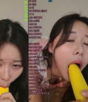 KBJ-23111501