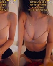 KBJ-23112317