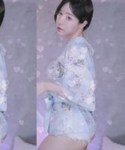 KBJ-23112330