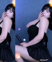KBJ-23120409