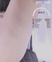 KBJ-23120428