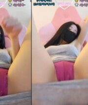 KBJ-23120451