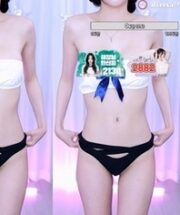 KBJ-23122329