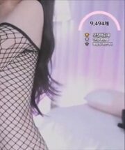 KBJ-24010217