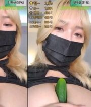 KBJ-24011103
