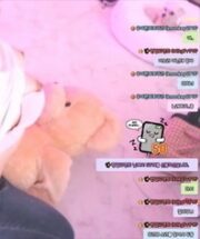 KBJ-24011134