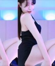 KBJ-24012227