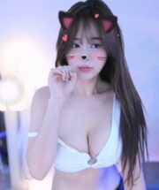 KBJ-24012238