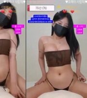 KBJ-24021303