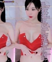 KBJ-24021329