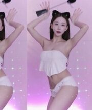 KBJ-24021554