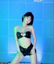 KBJ-24021905