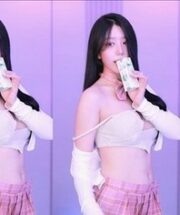 KBJ-24031212