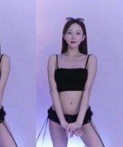 KBJ-24031247