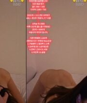 KBJ-24031249