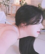 KBJ-24031437