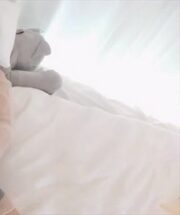 KBJ-240314468