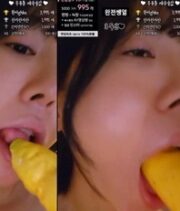 KBJ-24032710