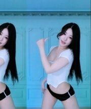KBJ-24033037