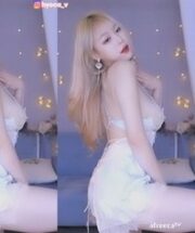 KBJ-24040205