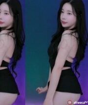 KBJ-24040422