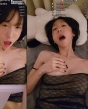 KBJ-24040627