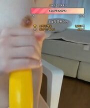 KBJ-24040656