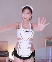 KBJ-24040901
