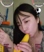 KBJ-24040919