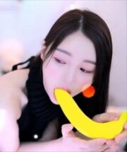 KBJ-24042219