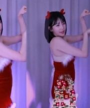 KBJ-24042709