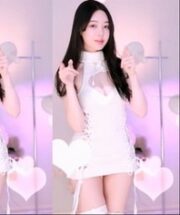 KBJ-24042712