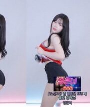 KBJ-24042729