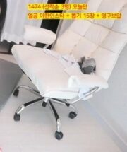 KBJ-24050460