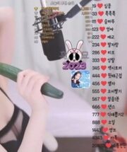 KBJ-24050469