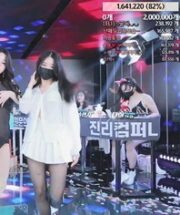 KBJ-24050478